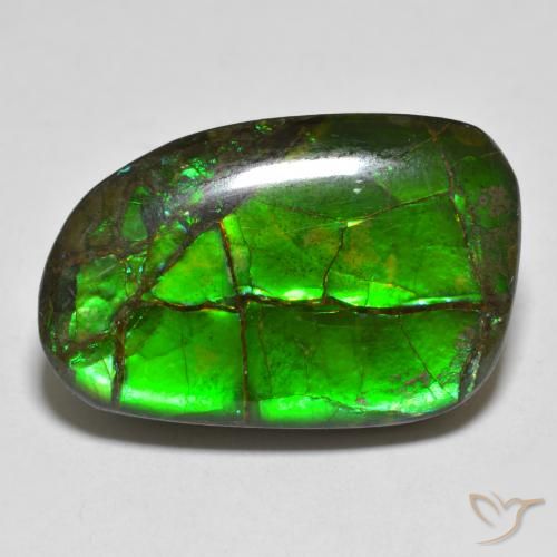 16.43ct Natural Multicolorido amolita, Chique, Opaco