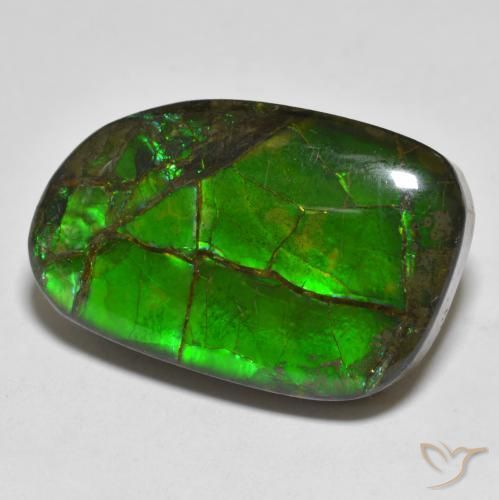 amolita Multicolorido Natural 16.43ct, Chique, Opaco