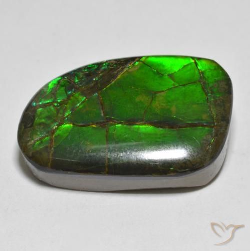 amolita Multicolorido Natural 16.43ct, Chique, Opaco