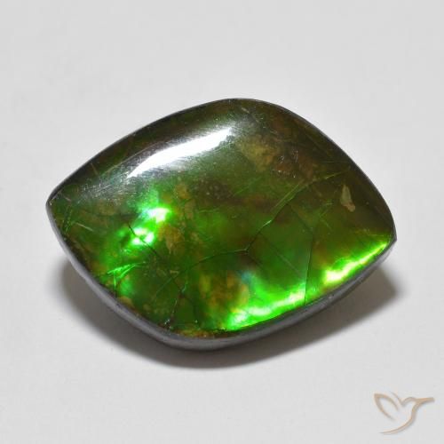 10.24ct Natural Multicolorido amolita, Chique, Opaco