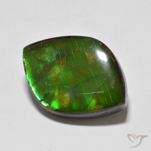 amolita Multicolorido Natural 10.24ct, Chique, Opaco