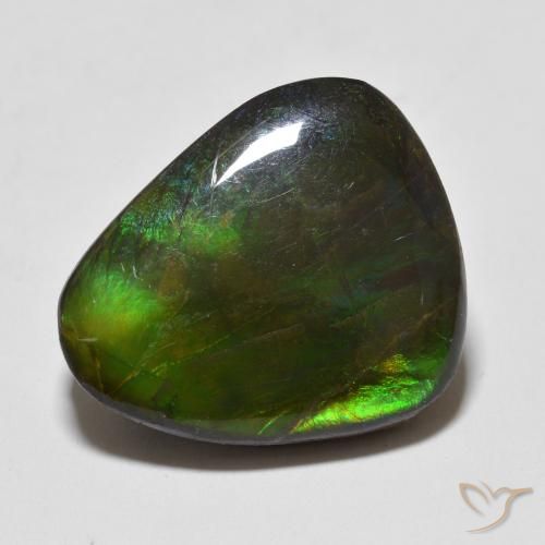 12.93ct Natural Multicolorido amolita, Chique, Opaco