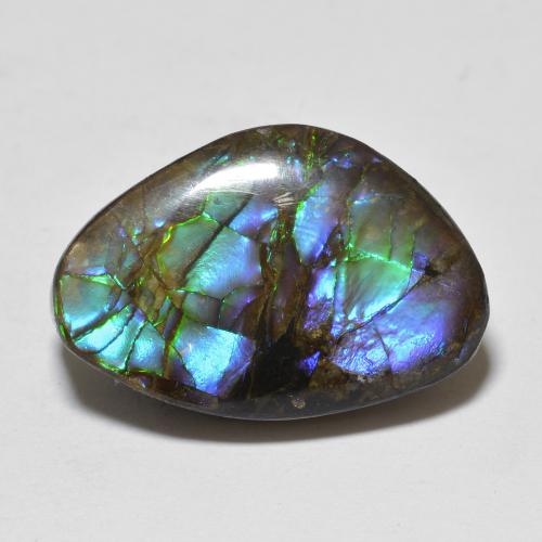 Amolita Multicolorido Natural 10.90ct, Forma extravagante, Opaco