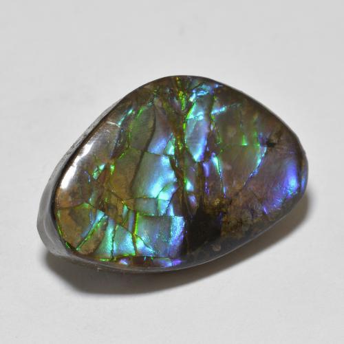 Amolita Multicolorido Natural 10.90ct, Forma extravagante, Opaco
