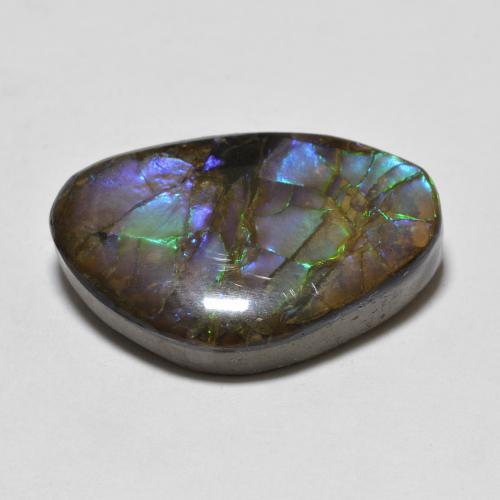 Amolita Multicolorido Natural 10.90ct, Forma extravagante, Opaco