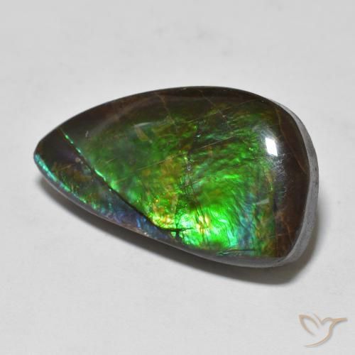 11.99ct Natural Multicolorido amolita, Chique, Opaco