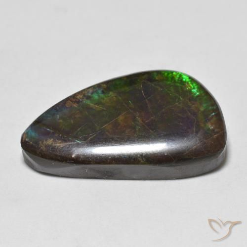 amolita Multicolorido Natural 11.99ct, Chique, Opaco
