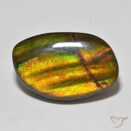 11.86ct Natural Multicolorido amolita, Chique, Opaco