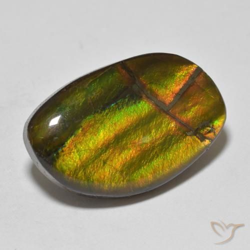 amolita Multicolorido Natural 11.86ct, Chique, Opaco