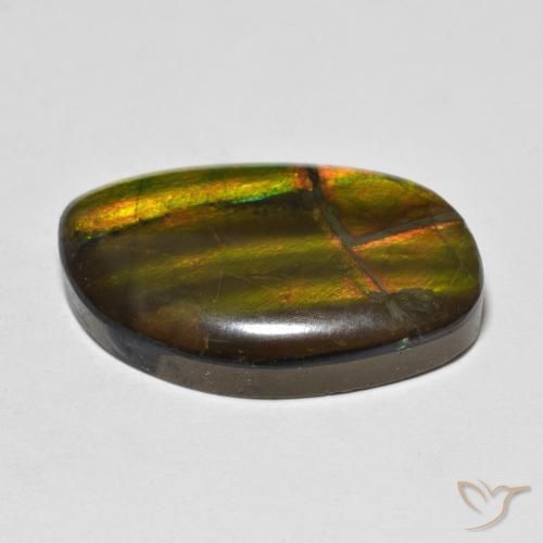 amolita Multicolorido Natural 11.86ct, Chique, Opaco