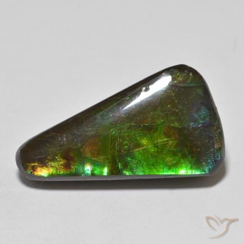 13.74ct Natural Multicolorido amolita, Chique, Opaco