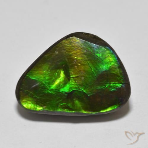 13.90ct Natural Multicolorido amolita, Chique, Opaco