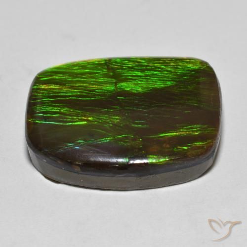 amolita Multicolorido Natural 18.23ct, Chique, Opaco