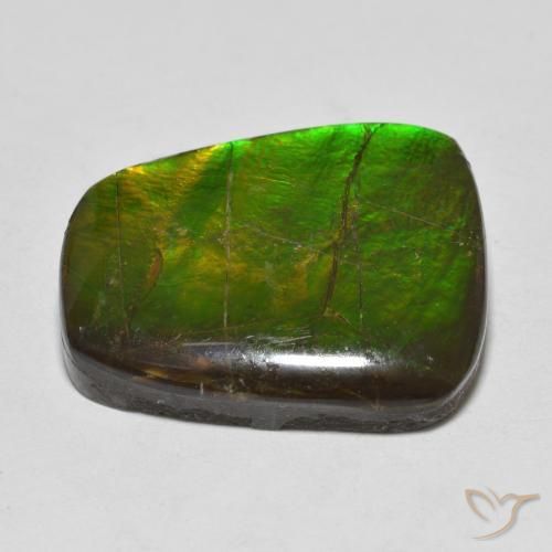 amolita Multicolorido Natural 15.03ct, Chique, Opaco