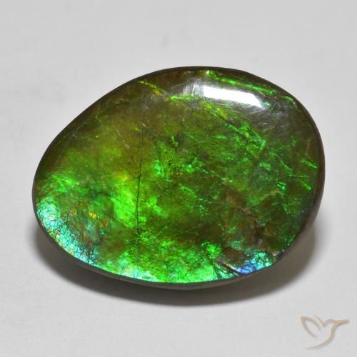 16.14ct Natural Multicolorido amolita, Chique, Opaco