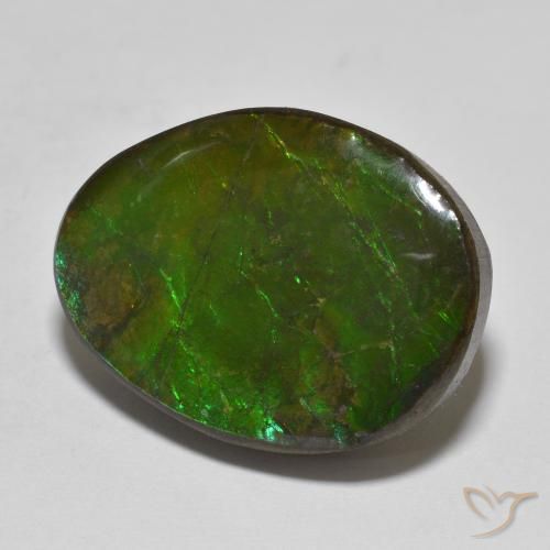 amolita Multicolorido Natural 16.14ct, Chique, Opaco