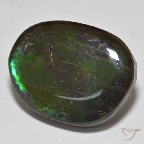 amolita Multicolorido Natural 19.98ct, Chique, Opaco