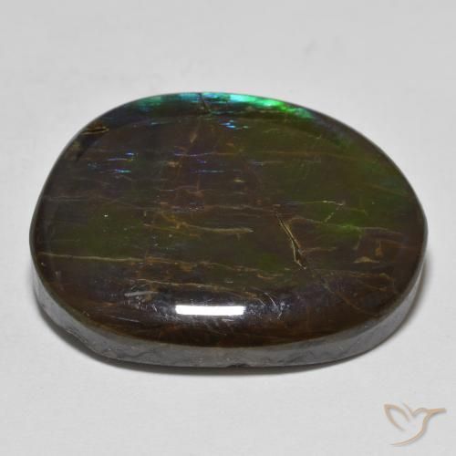 amolita Multicolorido Natural 19.98ct, Chique, Opaco