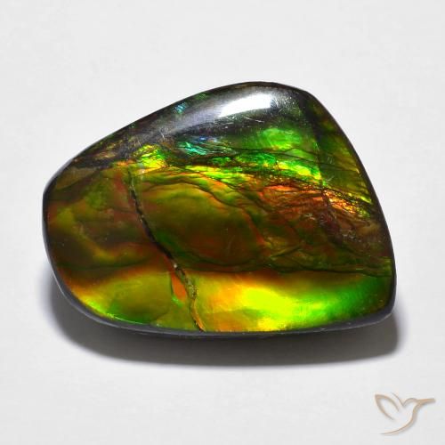 16.94ct Natural Multicolorido amolita, Chique, Opaco