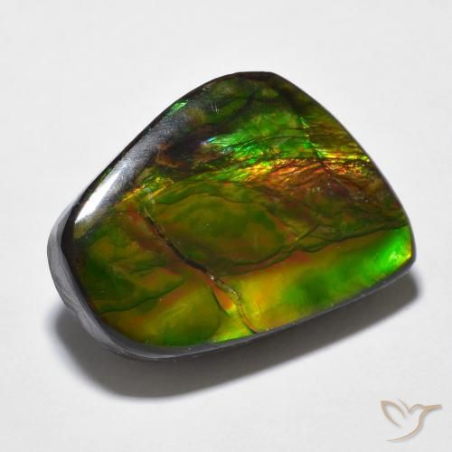 amolita Multicolorido Natural 16.94ct, Chique, Opaco