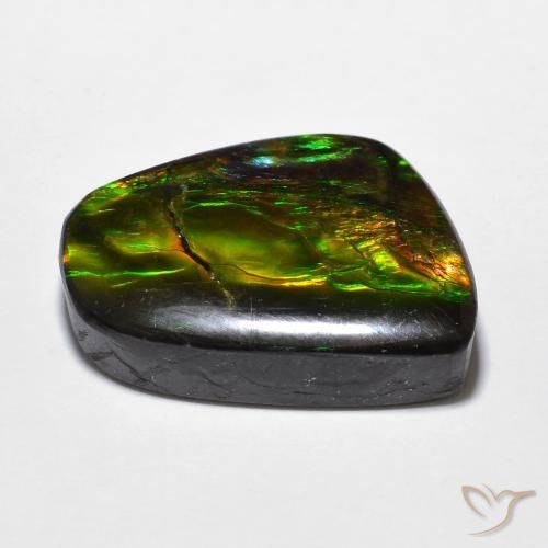 amolita Multicolorido Natural 16.94ct, Chique, Opaco