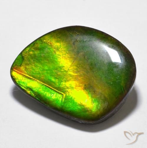 11.97ct Natural Multicolorido amolita, Chique, Opaco