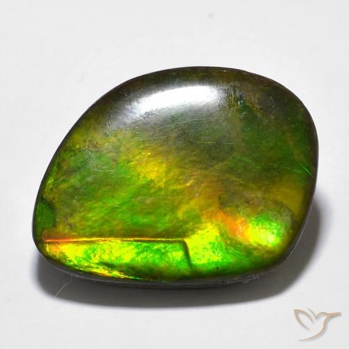 amolita Multicolorido Natural 11.97ct, Chique, Opaco