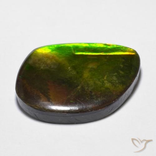 amolita Multicolorido Natural 11.97ct, Chique, Opaco