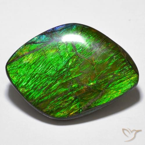 14.32ct Natural Multicolorido amolita, Chique, Opaco