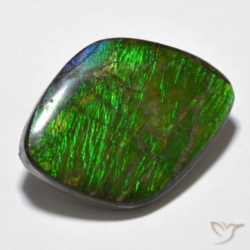 amolita Multicolorido Natural 14.32ct, Chique, Opaco