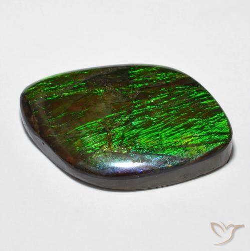 amolita Multicolorido Natural 14.32ct, Chique, Opaco