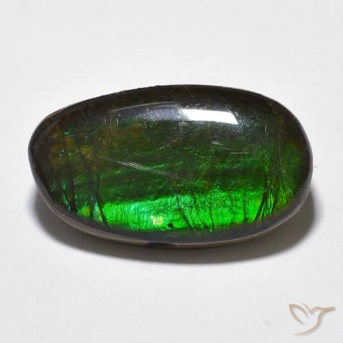 11.20ct Natural Multicolorido amolita, Chique, Opaco