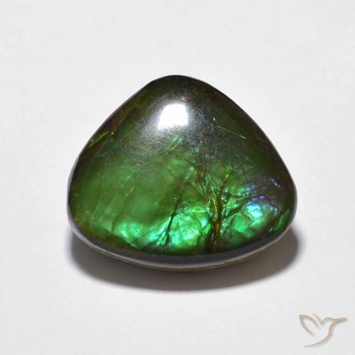 10.69ct Natural Multicolorido amolita, Chique, Opaco