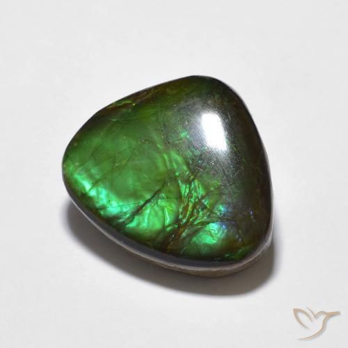amolita Multicolorido Natural 10.69ct, Chique, Opaco