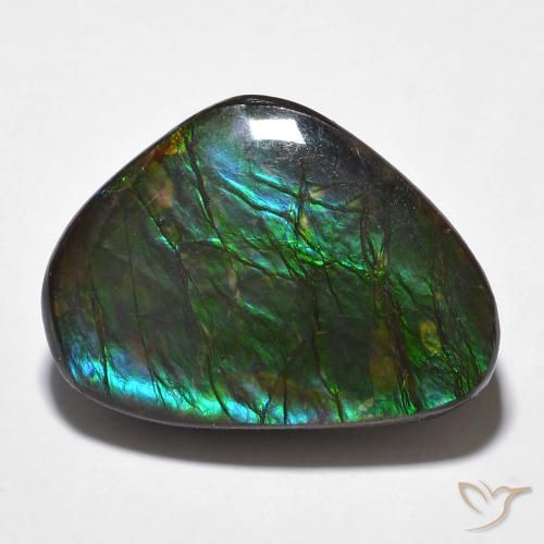 14.68ct Natural Multicolorido amolita, Chique, Opaco