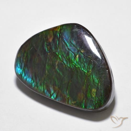 amolita Multicolorido Natural 14.68ct, Chique, Opaco