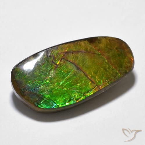 14.29ct Natural Multicolorido amolita, Chique, Opaco