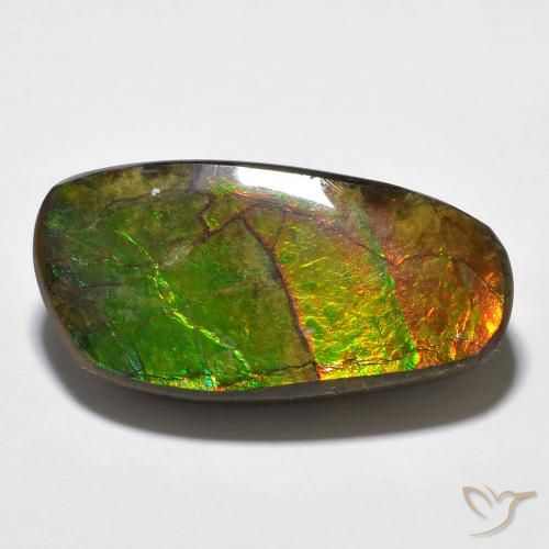 amolita Multicolorido Natural 14.29ct, Chique, Opaco