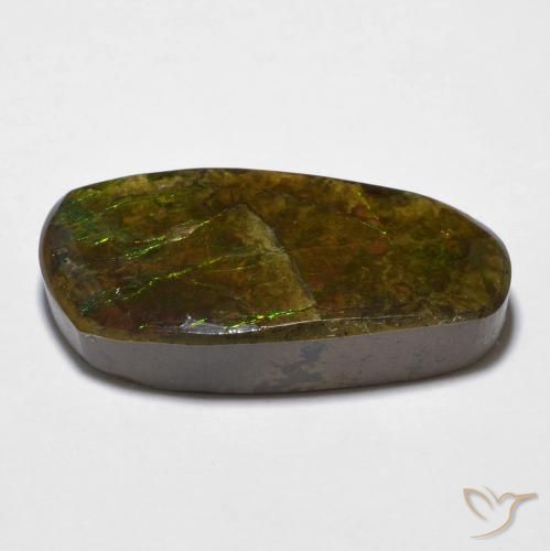 amolita Multicolorido Natural 14.29ct, Chique, Opaco
