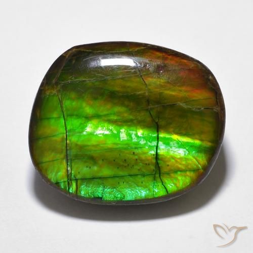 15.59ct Natural Multicolorido amolita, Chique, Opaco
