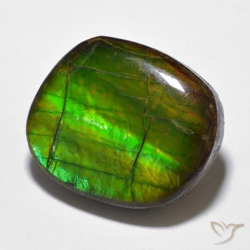 amolita Multicolorido Natural 15.59ct, Chique, Opaco