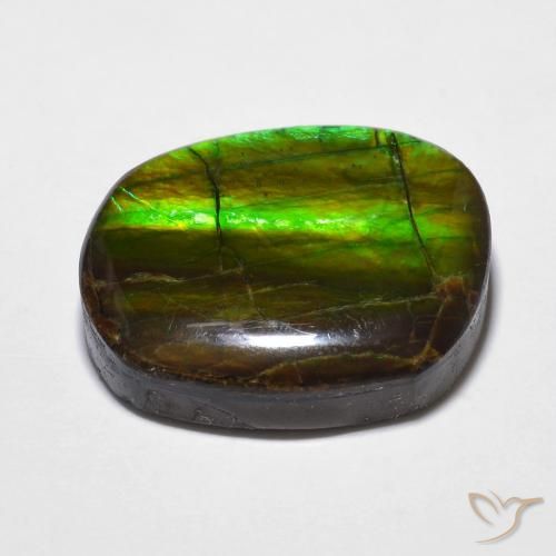 amolita Multicolorido Natural 15.59ct, Chique, Opaco