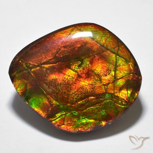 23.51ct Natural Multicolorido amolita, Chique, Opaco