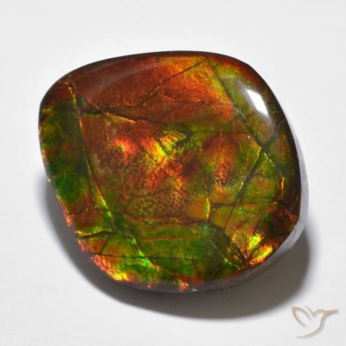 amolita Multicolorido Natural 23.51ct, Chique, Opaco