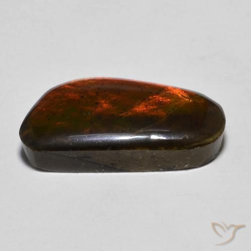 amolita Multicolorido Natural 10.53ct, Chique, Opaco