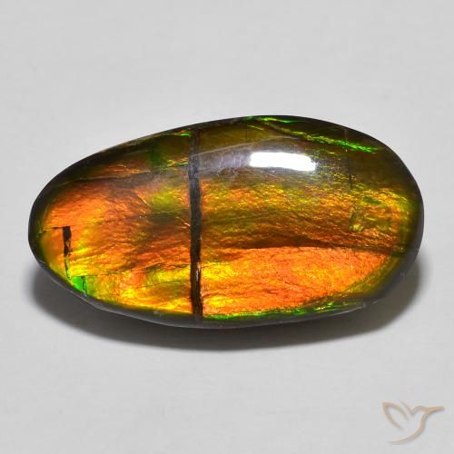 11.32ct Natural Multicolorido amolita, Chique, Opaco