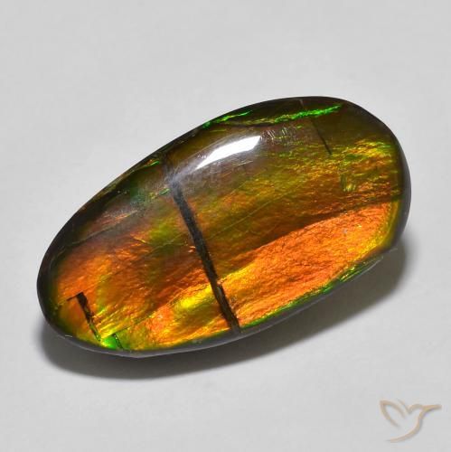 amolita Multicolorido Natural 11.32ct, Chique, Opaco