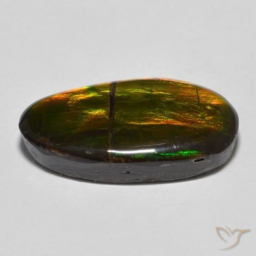 amolita Multicolorido Natural 11.32ct, Chique, Opaco