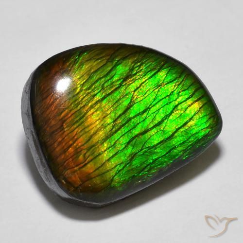 12.97ct Natural Multicolorido amolita, Chique, Opaco