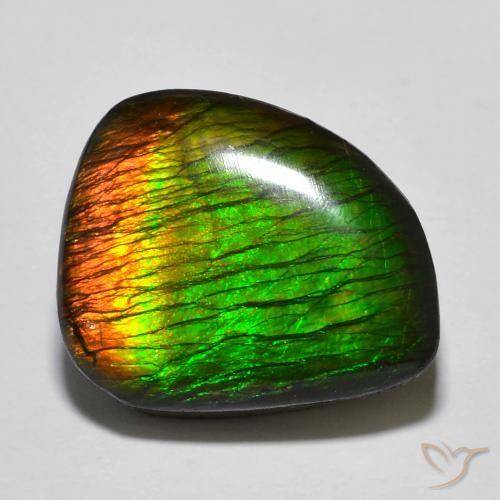 amolita Multicolorido Natural 12.97ct, Chique, Opaco